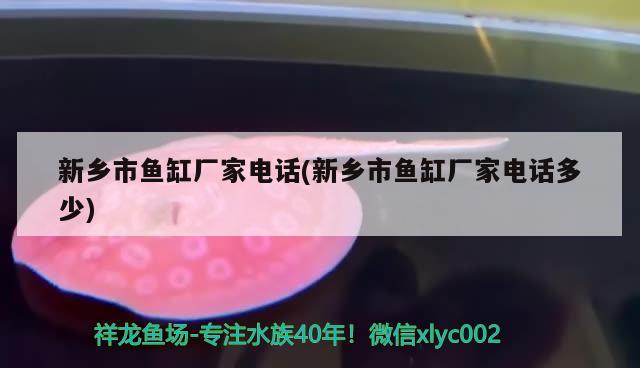 新乡市鱼缸厂家电话(新乡市鱼缸厂家电话多少) 广州水族批发市场