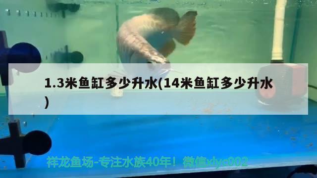 1.3米鱼缸多少升水(14米鱼缸多少升水)