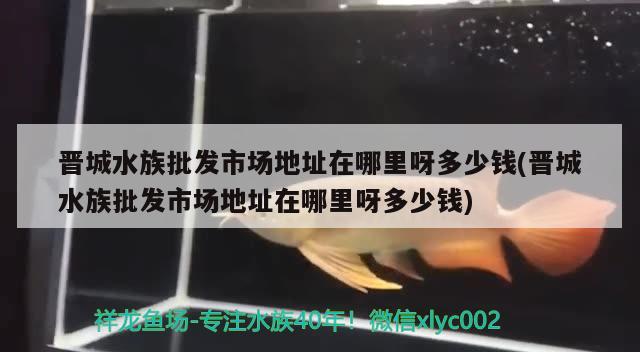 晋城水族批发市场地址在哪里呀多少钱(晋城水族批发市场地址在哪里呀多少钱) 观赏鱼水族批发市场