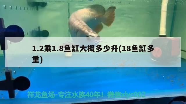 1.2乘1.8鱼缸大概多少升(18鱼缸多重) 鱼缸水泵