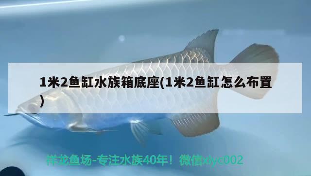 1米2鱼缸水族箱底座(1米2鱼缸怎么布置) 鱼缸/水族箱