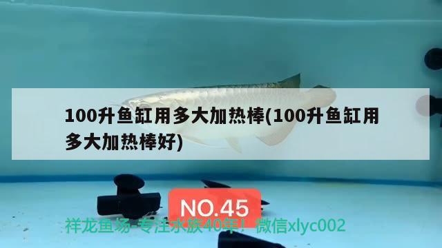 100升鱼缸用多大加热棒(100升鱼缸用多大加热棒好) 女王大帆鱼