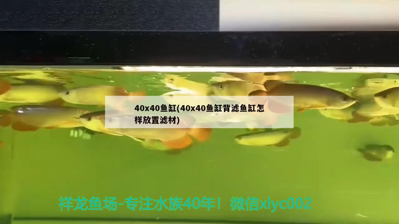 40x40鱼缸(40x40鱼缸背滤鱼缸怎样放置滤材) 潜水泵