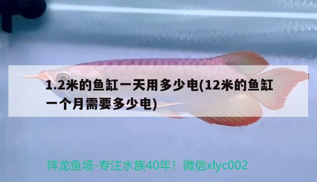 1.2米的鱼缸一天用多少电(12米的鱼缸一个月需要多少电)