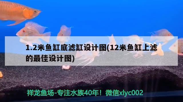 1.2米鱼缸底滤缸设计图(12米鱼缸上滤的最佳设计图) 细线银版鱼