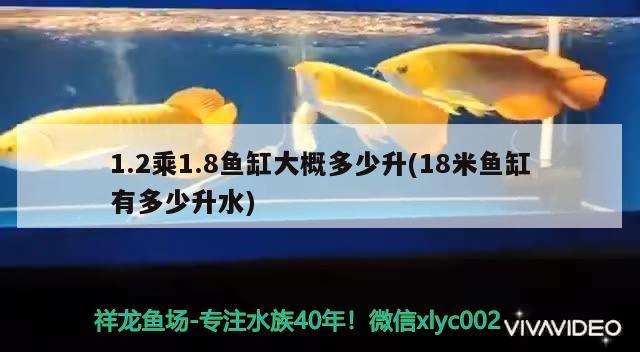 1.2乘1.8鱼缸大概多少升(18米鱼缸有多少升水) 广州观赏鱼批发市场