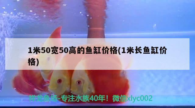 1米50宽50高的鱼缸价格(1米长鱼缸价格) 养鱼知识