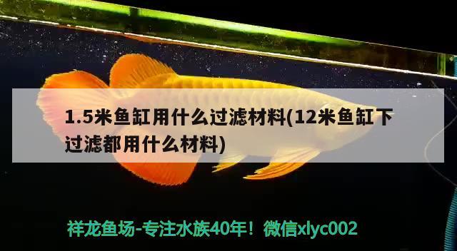 1.5米鱼缸用什么过滤材料(12米鱼缸下过滤都用什么材料) 慈雕鱼