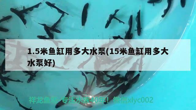 1.5米鱼缸用多大水泵(15米鱼缸用多大水泵好) 观赏虾蟹等饲料