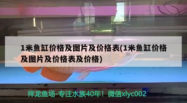 1米鱼缸价格及图片及价格表(1米鱼缸价格及图片及价格表及价格)