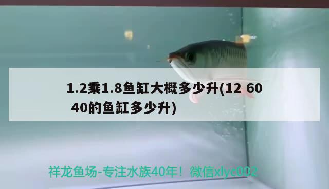 1.2乘1.8鱼缸大概多少升(126040的鱼缸多少升) 纯血皇冠黑白魟鱼