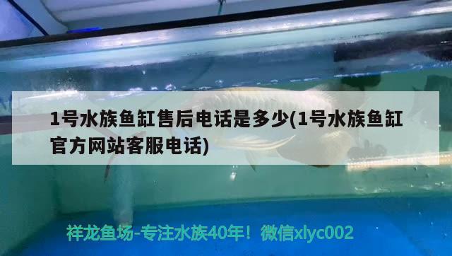 1号水族鱼缸售后电话是多少(1号水族鱼缸官方网站客服电话)