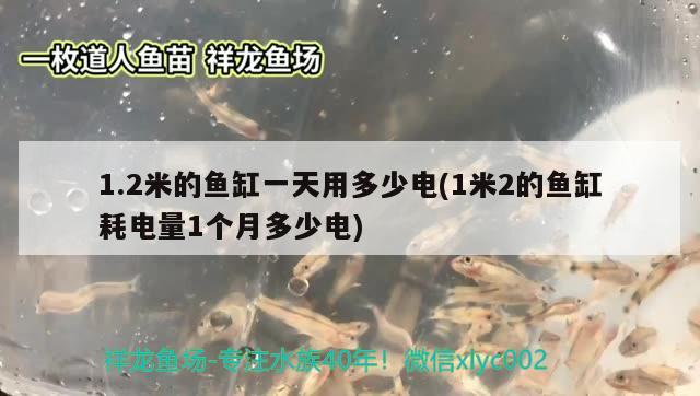 1.2米的鱼缸一天用多少电(1米2的鱼缸耗电量1个月多少电) 祥龙鱼场其他产品