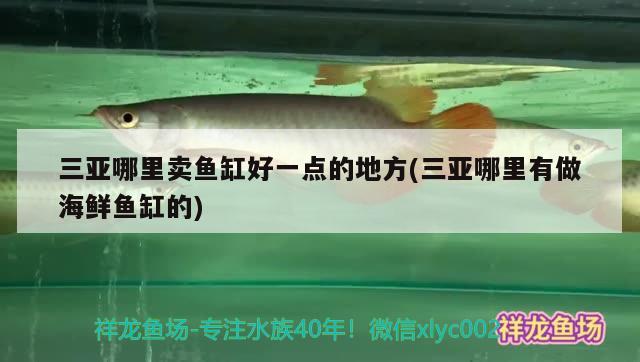 三亚哪里卖鱼缸好一点的地方(三亚哪里有做海鲜鱼缸的) 麦肯斯银版鱼