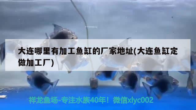 大连哪里有加工鱼缸的厂家地址(大连鱼缸定做加工厂) 祥龙水族滤材/器材