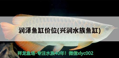 润泽鱼缸价位(兴润水族鱼缸)