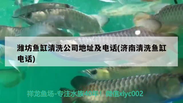 潍坊鱼缸清洗公司地址及电话(济南清洗鱼缸电话) 大正锦鲤鱼