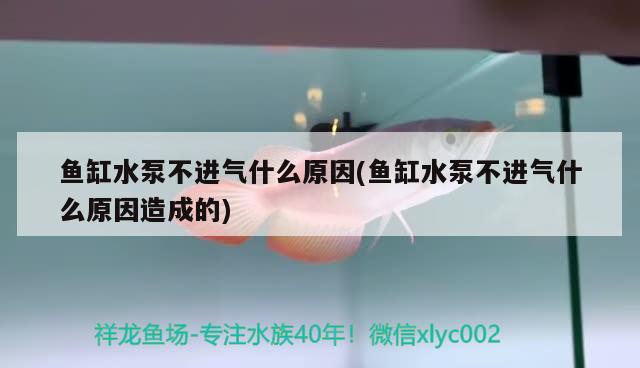 鱼缸水泵不进气什么原因(鱼缸水泵不进气什么原因造成的) 鱼缸水泵