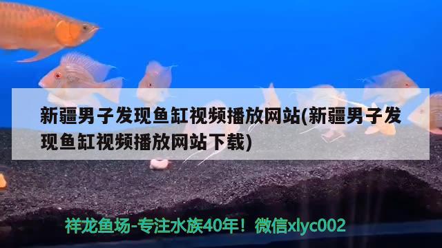 新疆男子发现鱼缸视频播放网站(新疆男子发现鱼缸视频播放网站下载)