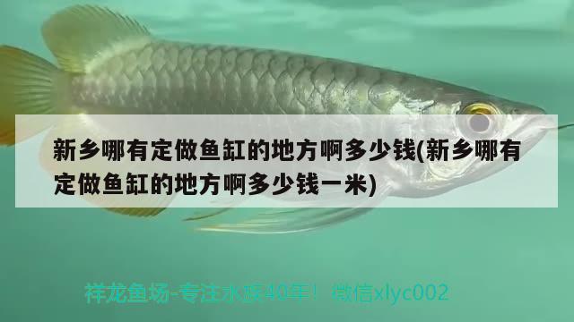 新乡哪有定做鱼缸的地方啊多少钱(新乡哪有定做鱼缸的地方啊多少钱一米) 赤焰中国虎鱼