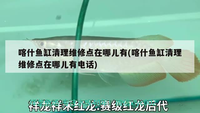 喀什鱼缸清理维修点在哪儿有(喀什鱼缸清理维修点在哪儿有电话) 战车红龙鱼