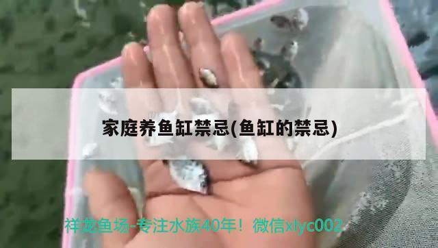 家庭养鱼缸禁忌(鱼缸的禁忌)