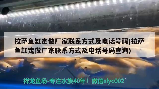 拉萨鱼缸定做厂家联系方式及电话号码(拉萨鱼缸定做厂家联系方式及电话号码查询) 白子金龙鱼