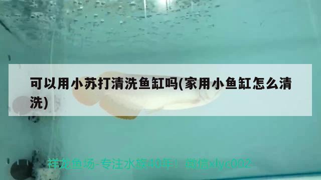 可以用小苏打清洗鱼缸吗(家用小鱼缸怎么清洗) 水族灯（鱼缸灯）