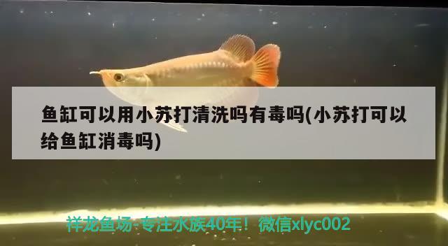 鱼缸可以用小苏打清洗吗有毒吗(小苏打可以给鱼缸消毒吗) 黑金魟鱼