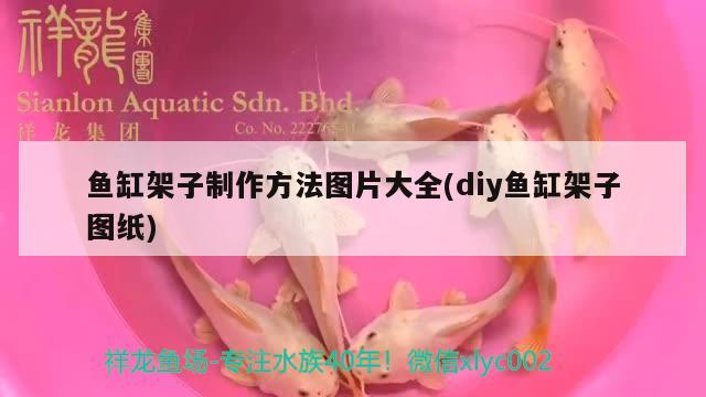 鱼缸架子制作方法图片大全(diy鱼缸架子图纸) 雪龙鱼