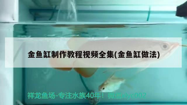 金鱼缸制作教程视频全集(金鱼缸做法) 广州祥龙国际水族贸易