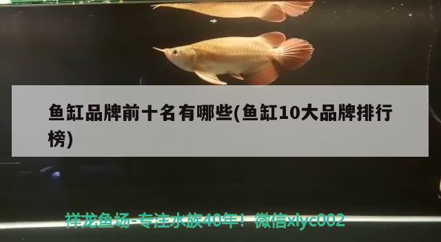 鱼缸品牌前十名有哪些(鱼缸10大品牌排行榜) 金龙鱼粮