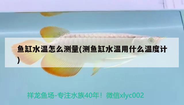 鱼缸水温怎么测量(测鱼缸水温用什么温度计)