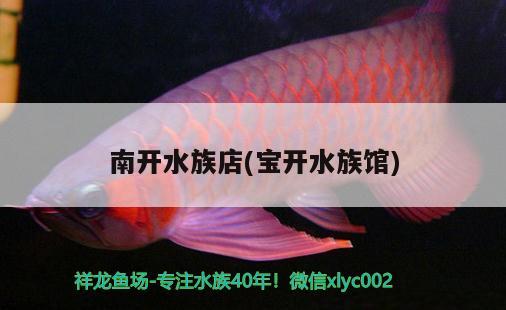 南开水族店(宝开水族馆) 三间鼠鱼苗