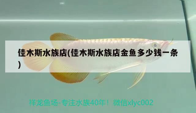 佳木斯水族店(佳木斯水族店金鱼多少钱一条)