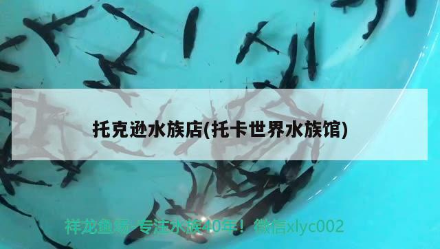 托克逊水族店(托卡世界水族馆)