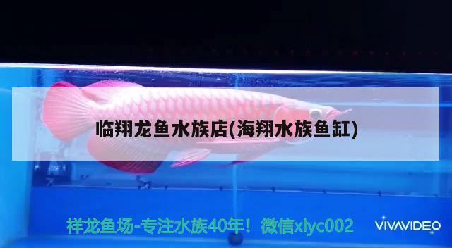 临翔龙鱼水族店(海翔水族鱼缸)