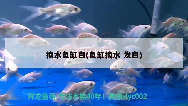 换水鱼缸白(鱼缸换水发白) 鱼缸风水