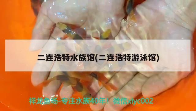 二连浩特水族馆(二连浩特游泳馆)