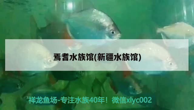 焉耆水族馆(新疆水族馆) 其它水族用具设备