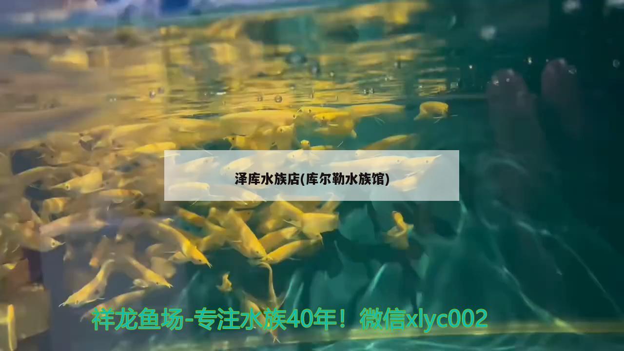 泽库水族店(库尔勒水族馆)