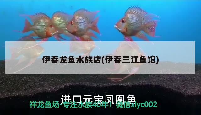 伊春龙鱼水族店(伊春三江鱼馆)