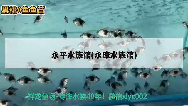 永平水族馆(永康水族馆) 广州水族批发市场