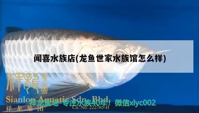 闻喜水族店(龙鱼世家水族馆怎么样) 蓝底过背金龙鱼 第2张