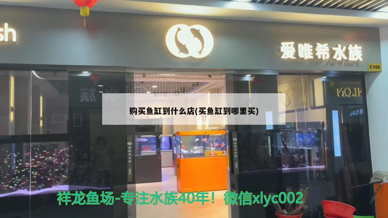 购买鱼缸到什么店(买鱼缸到哪里买)