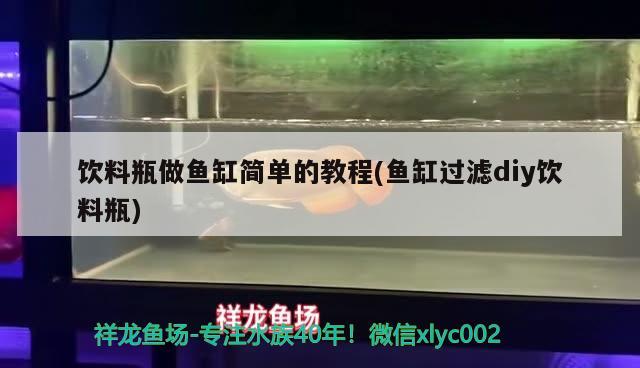 饮料瓶做鱼缸简单的教程(鱼缸过滤diy饮料瓶) 鱼缸风水