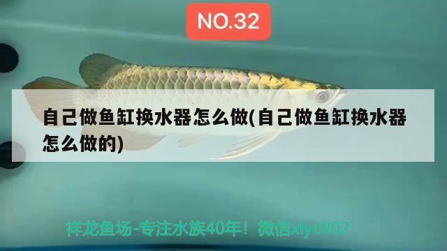 自己做鱼缸换水器怎么做(自己做鱼缸换水器怎么做的) 梦幻雷龙鱼