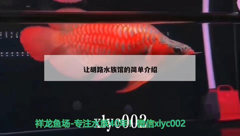 让胡路水族馆的简单介绍 鱼缸水泵