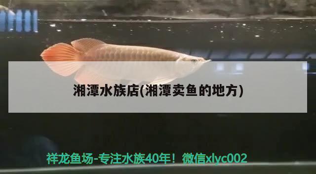 湘潭水族店(湘潭卖鱼的地方) 观赏鱼市场