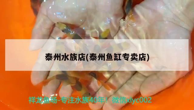 泰州水族店(泰州鱼缸专卖店) 鱼缸风水